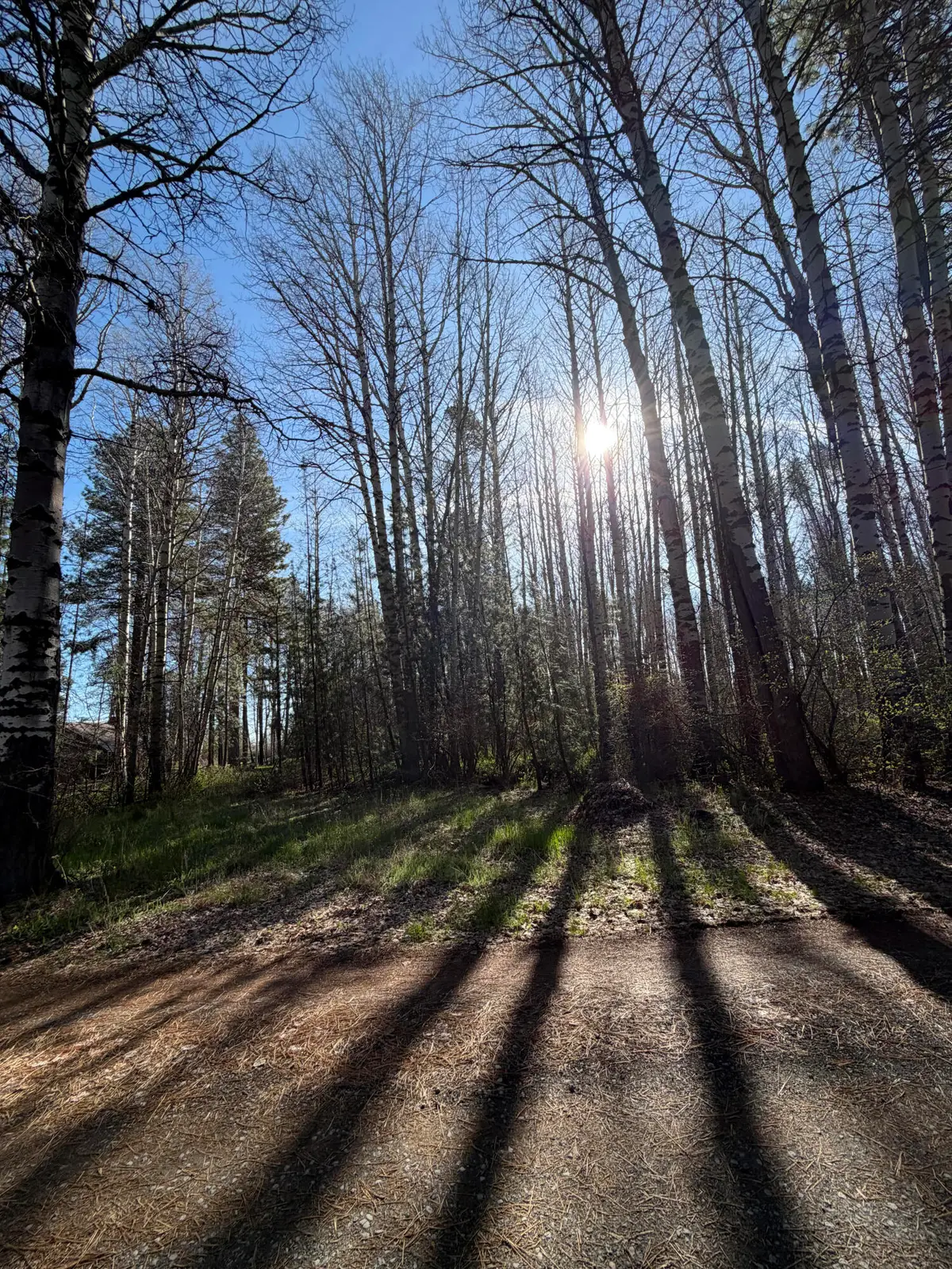 315625 Runnels Lane, Klamath Falls, OR 97601 - #1