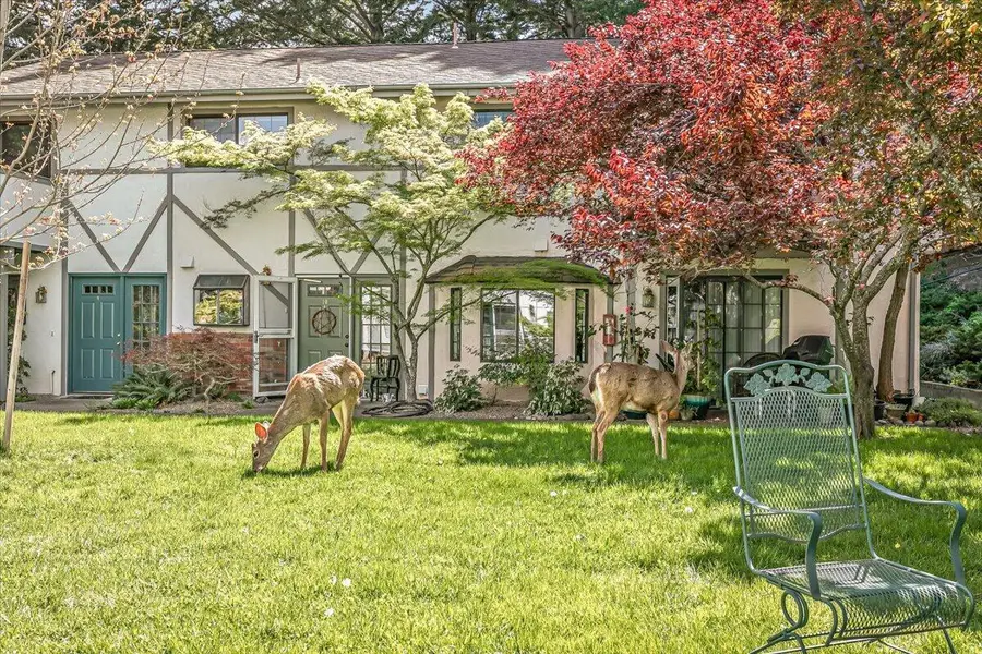 495 Chestnut Street #16, Ashland, OR 97520 - #2