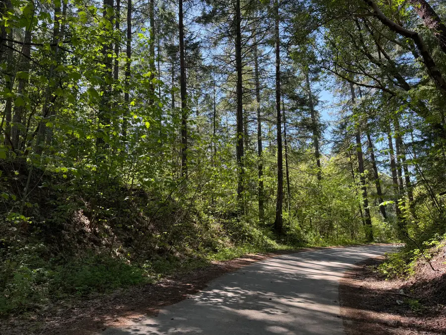 Sunny Valley Loop, Wolf Creek, OR 97497 - #2