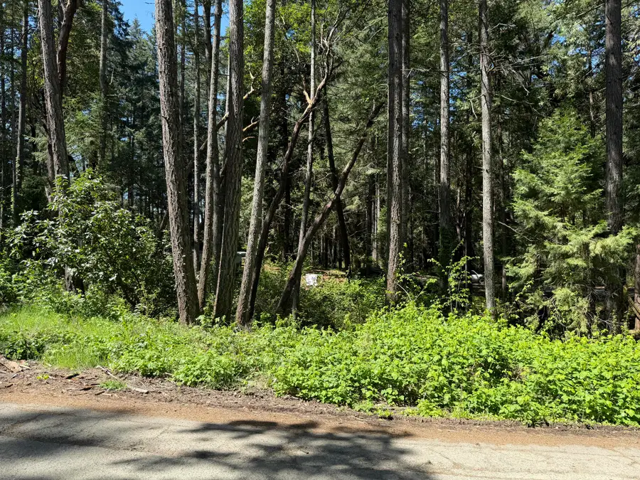 Sunny Valley Loop, Wolf Creek, OR 97497 - #3