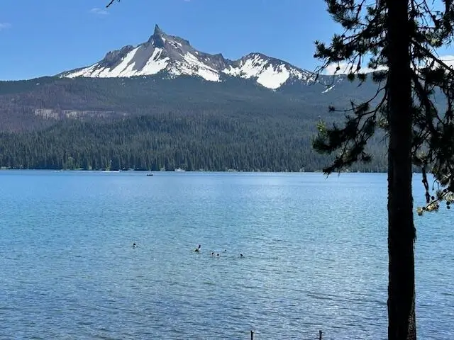 80 Diamond Lake Loop, Chemult, OR 97731 - #3
