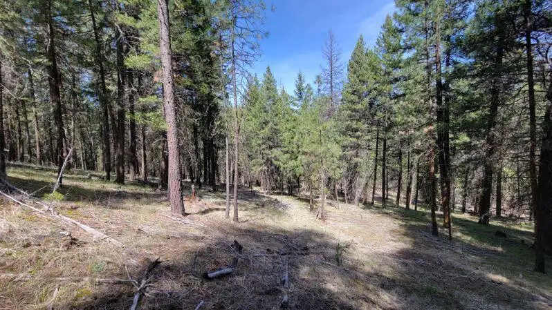 1315 NE Lofton Creek Road, Prineville, OR 97754 - #3