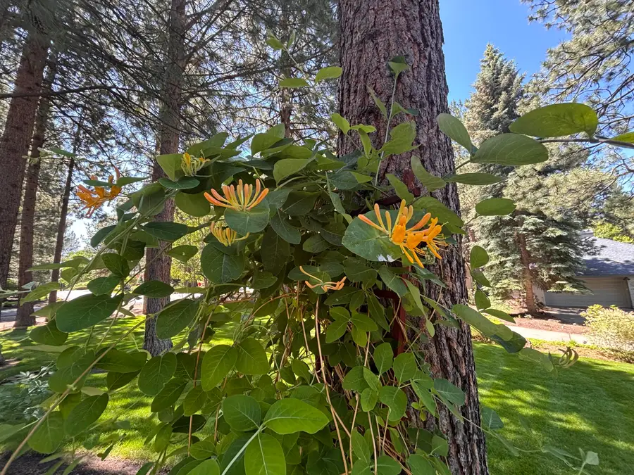 60730 Breckenridge Street, Bend, OR 97702 - #3