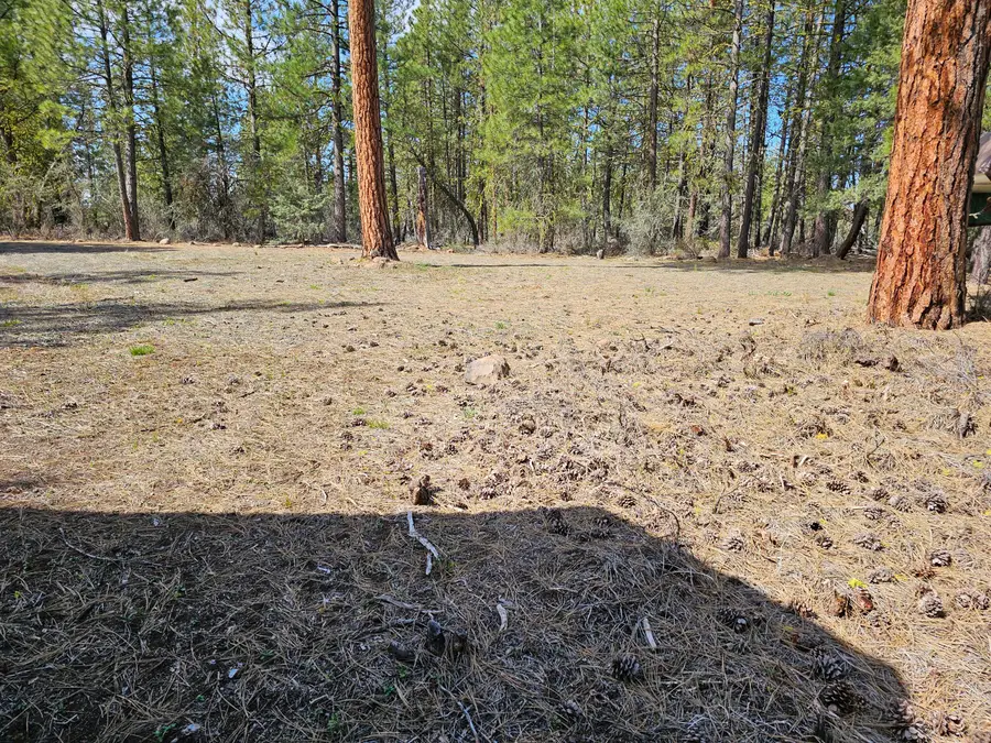 Wolverine Lane #Lot 7 & 8, Bonanza, OR 97623 - #3