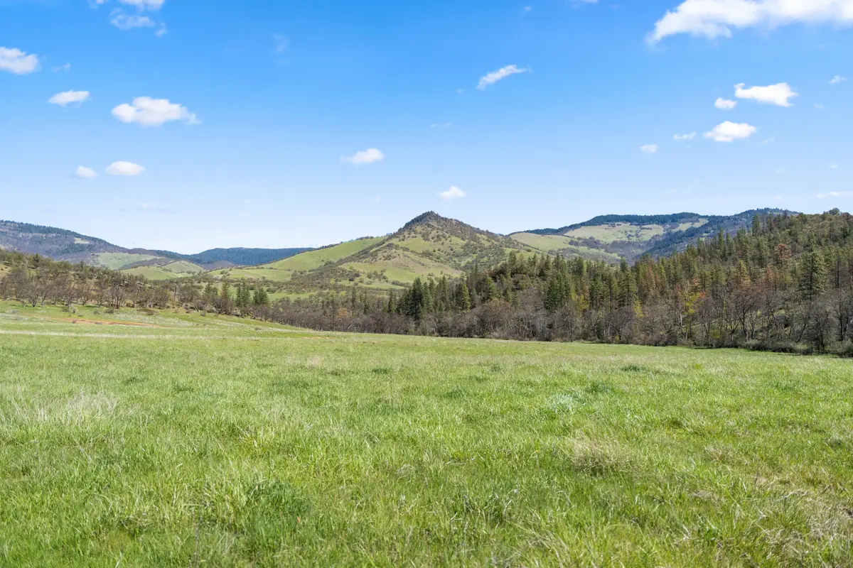 Buckhorn Road #1000, Ashland, OR 97520 - #1