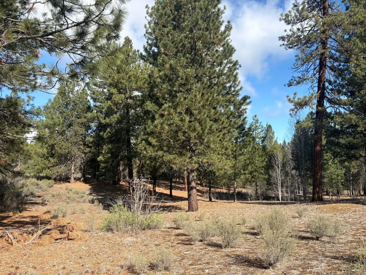 0 Pine Ridge Loop #Lot 5, Chiloquin, OR 97624 - #1
