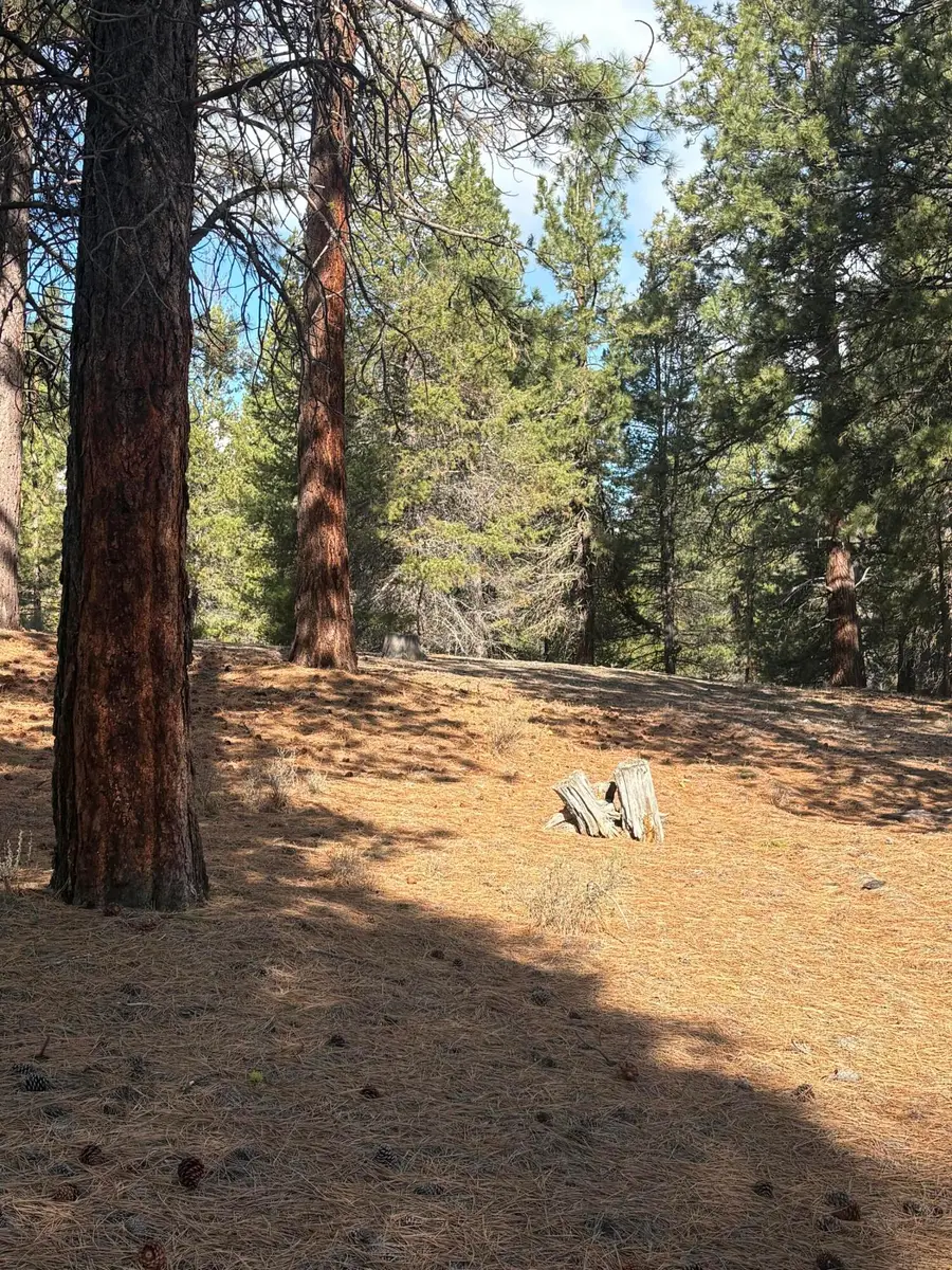 0 Pine Ridge Loop #Lot 5, Chiloquin, OR 97624 - #3