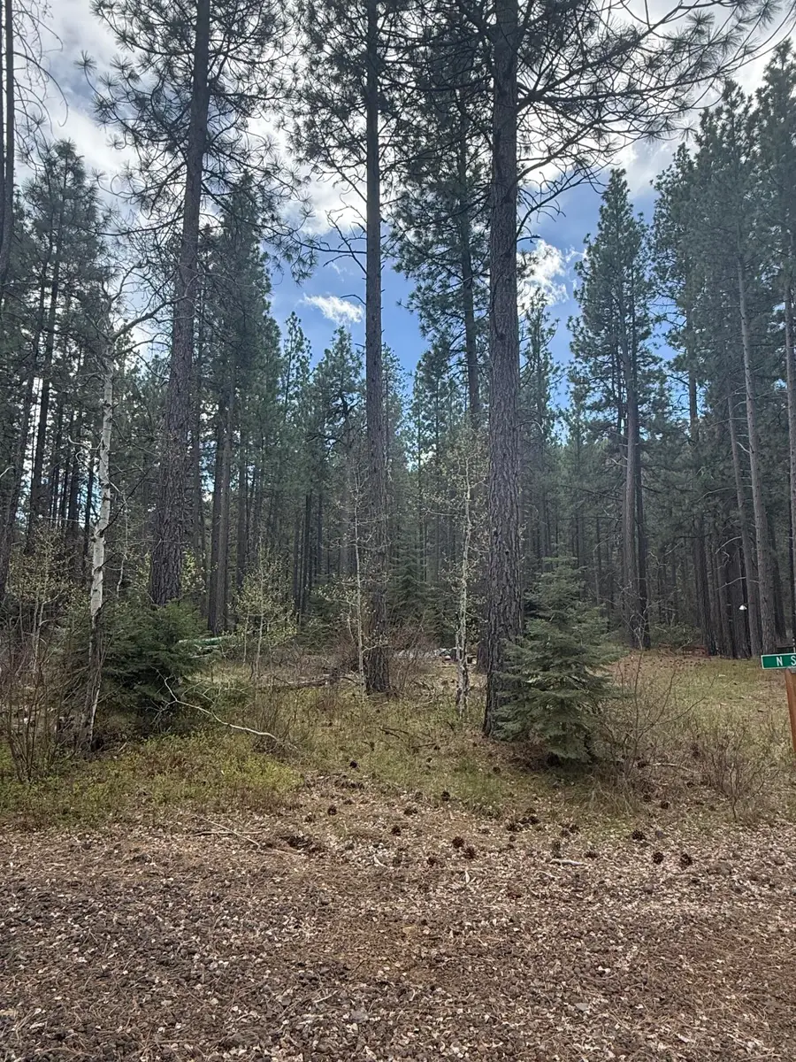 0 N Street #3606-010CB-05200, Klamath Falls, OR 97601 - #3