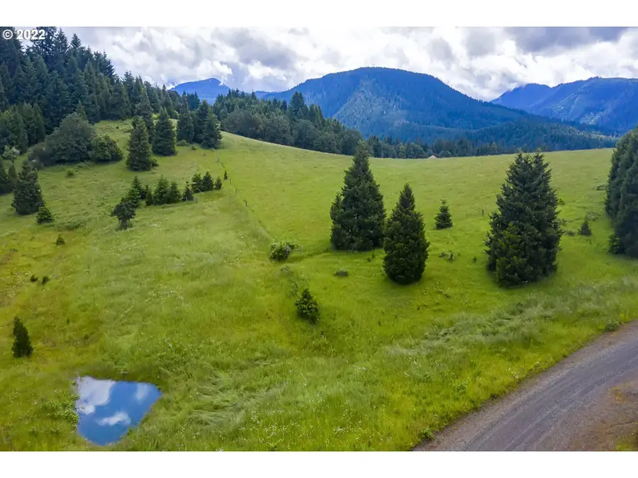 Bugle Loop #TL 1304, Oakridge, OR 97463 - #2