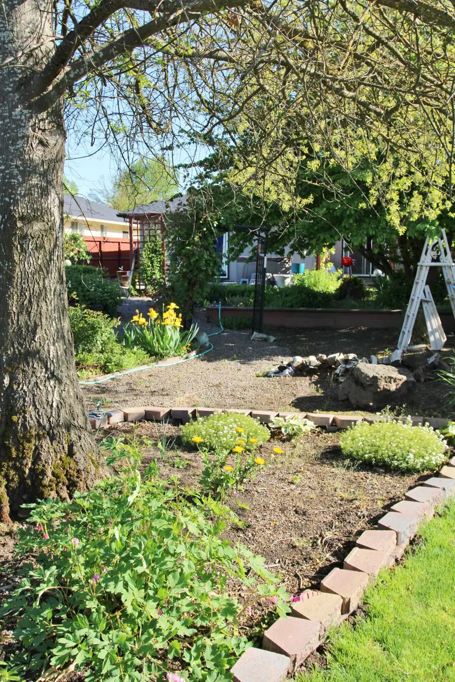 3011 Edgewood Drive, Medford, OR 97504 - #3