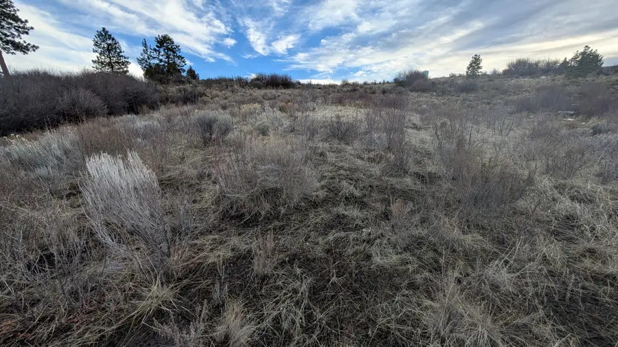 Treeland Court #8, Chiloquin, OR 97624 - #2