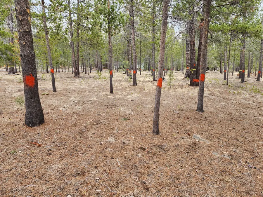 57626 Cultus Lane, Sunriver, OR 97707 - #2