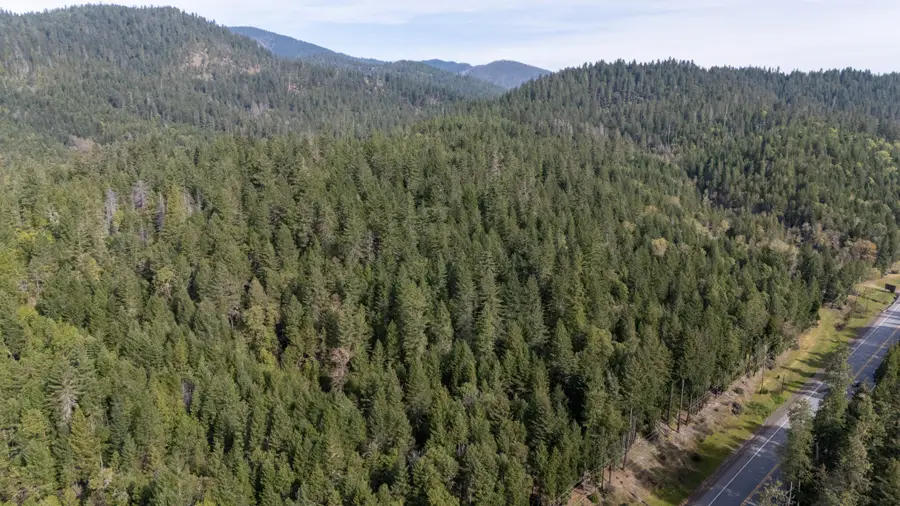 Redwood Highway #201, Selma, OR 97538 - #3