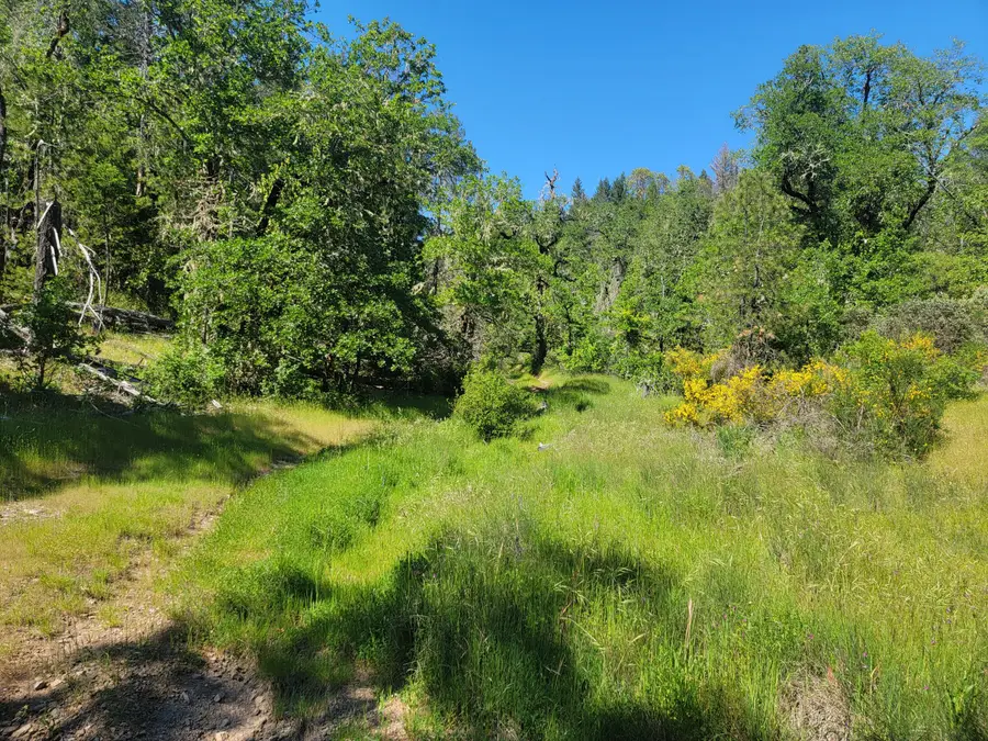 Redwood Highway #TL 211, Selma, OR 97538 - #3