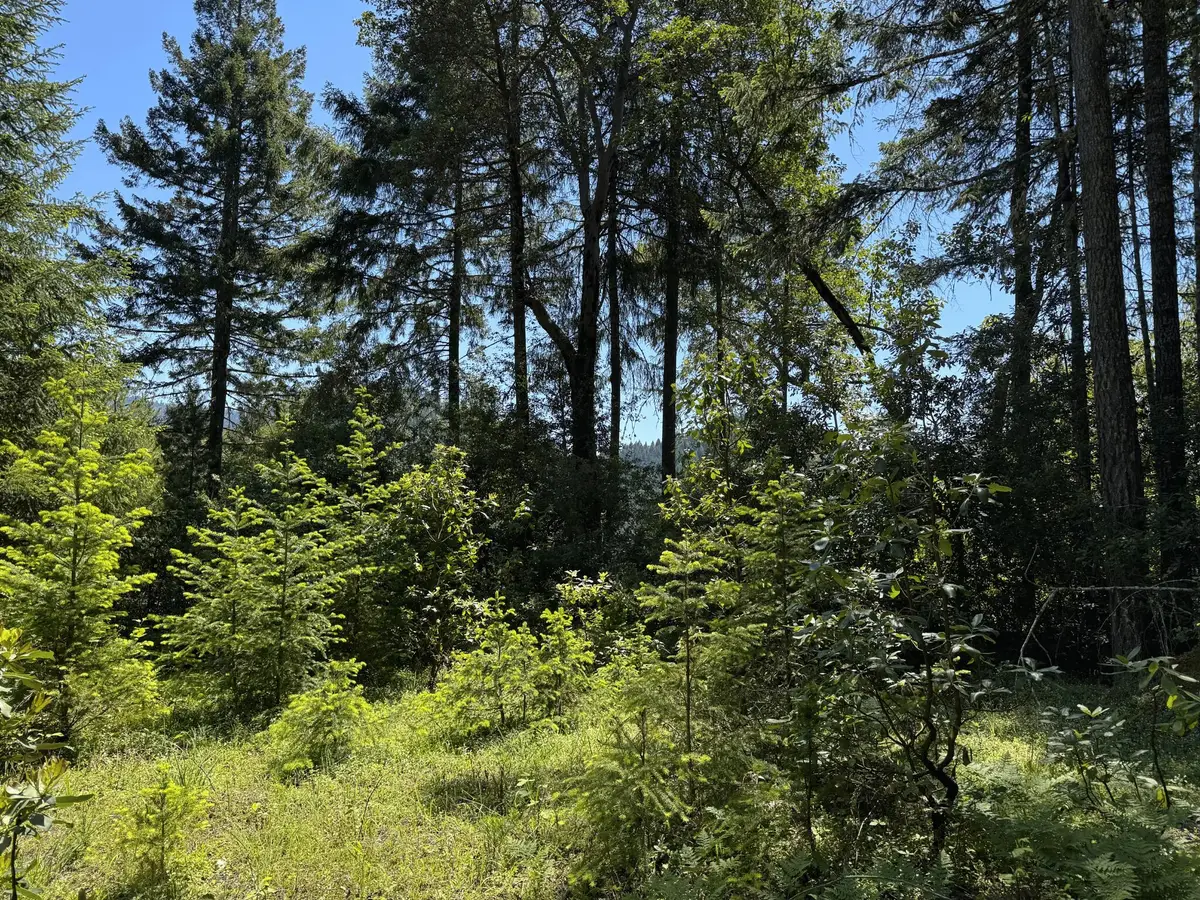 1522 Bridge Lane, Wolf Creek, OR 97497 - #1