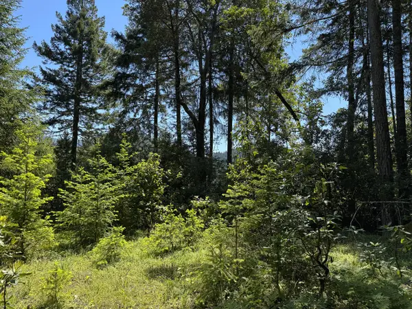 1522 Bridge Lane, Wolf Creek, OR 97497