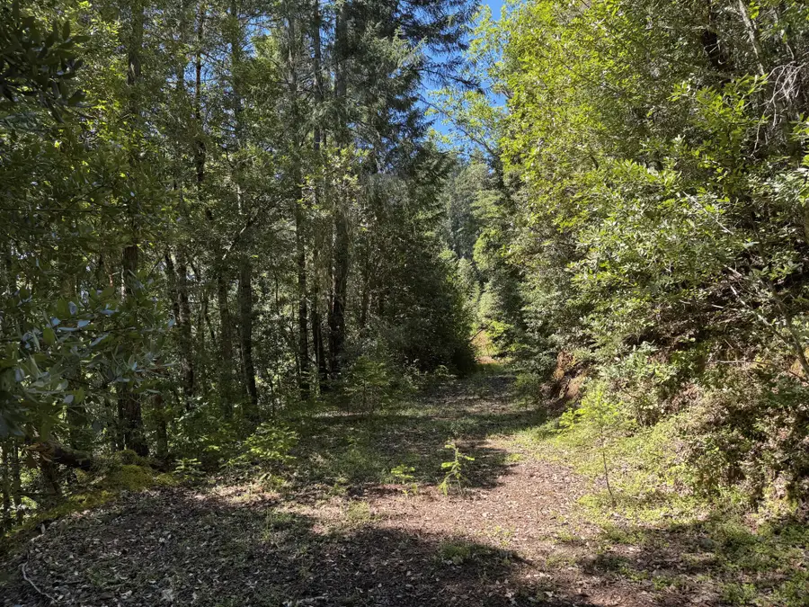 1522 Bridge Lane, Wolf Creek, OR 97497 - #3