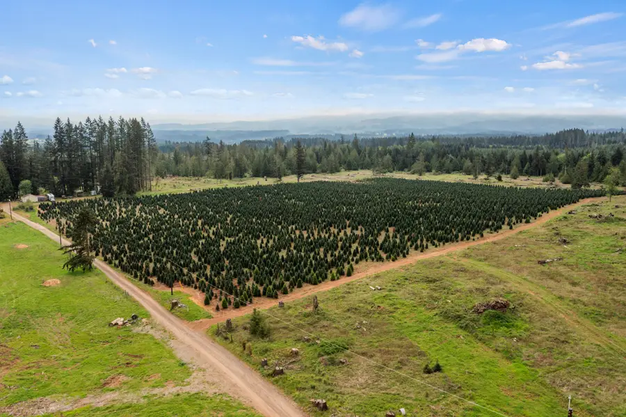 25402 S Schockley Road, Beavercreek, OR 97004 - #3