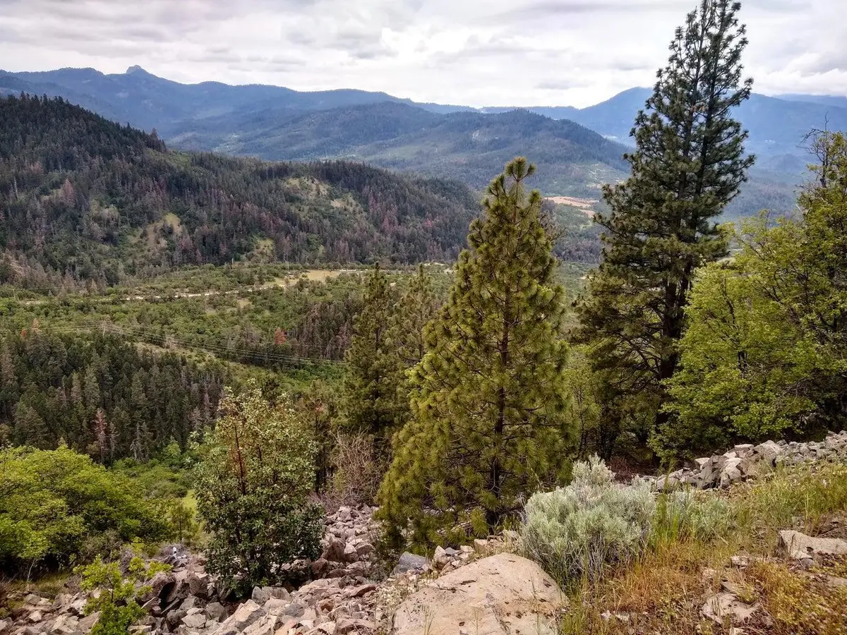 8074 Highway 66, Ashland, OR 97520 - #1