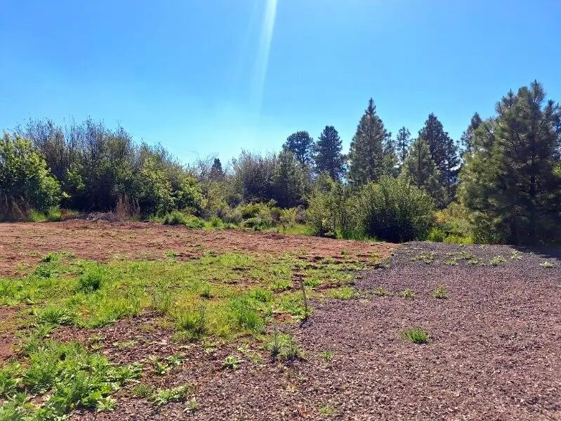 Shoreview Drive #Block 4 Lot 15, Chiloquin, OR 97624 - #3