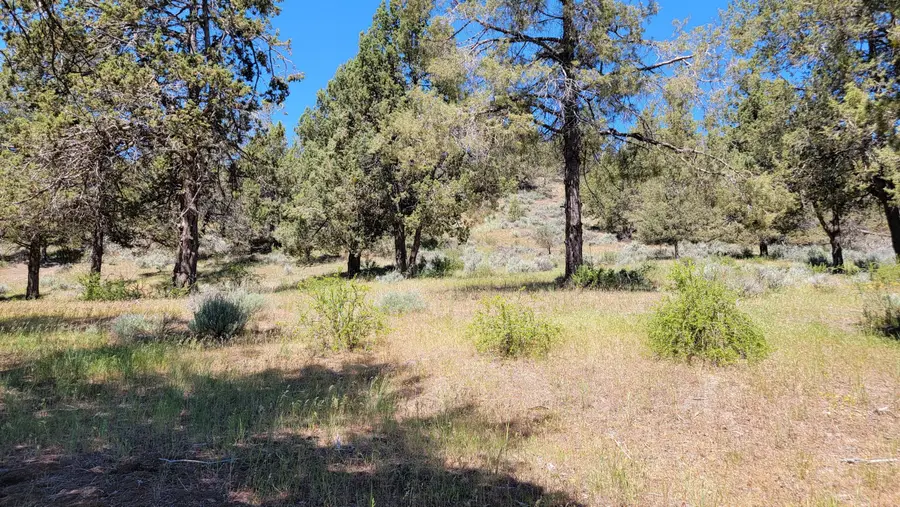 0 Murrelet Road #Lot 1196, Klamath Falls, OR 97601 - #3