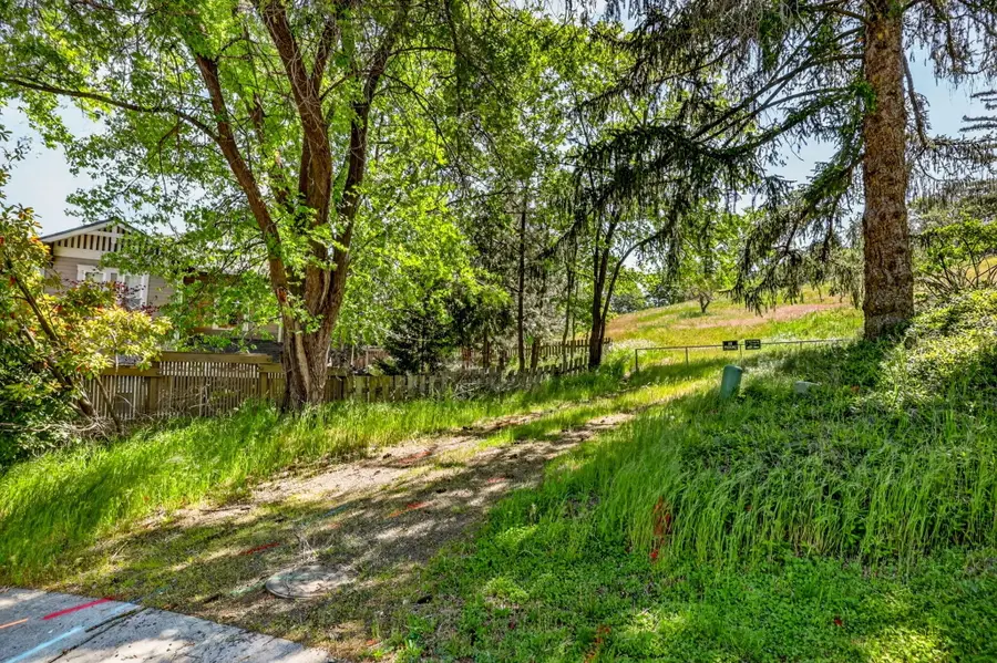 Schofield Street, Ashland, OR 97520 - #3
