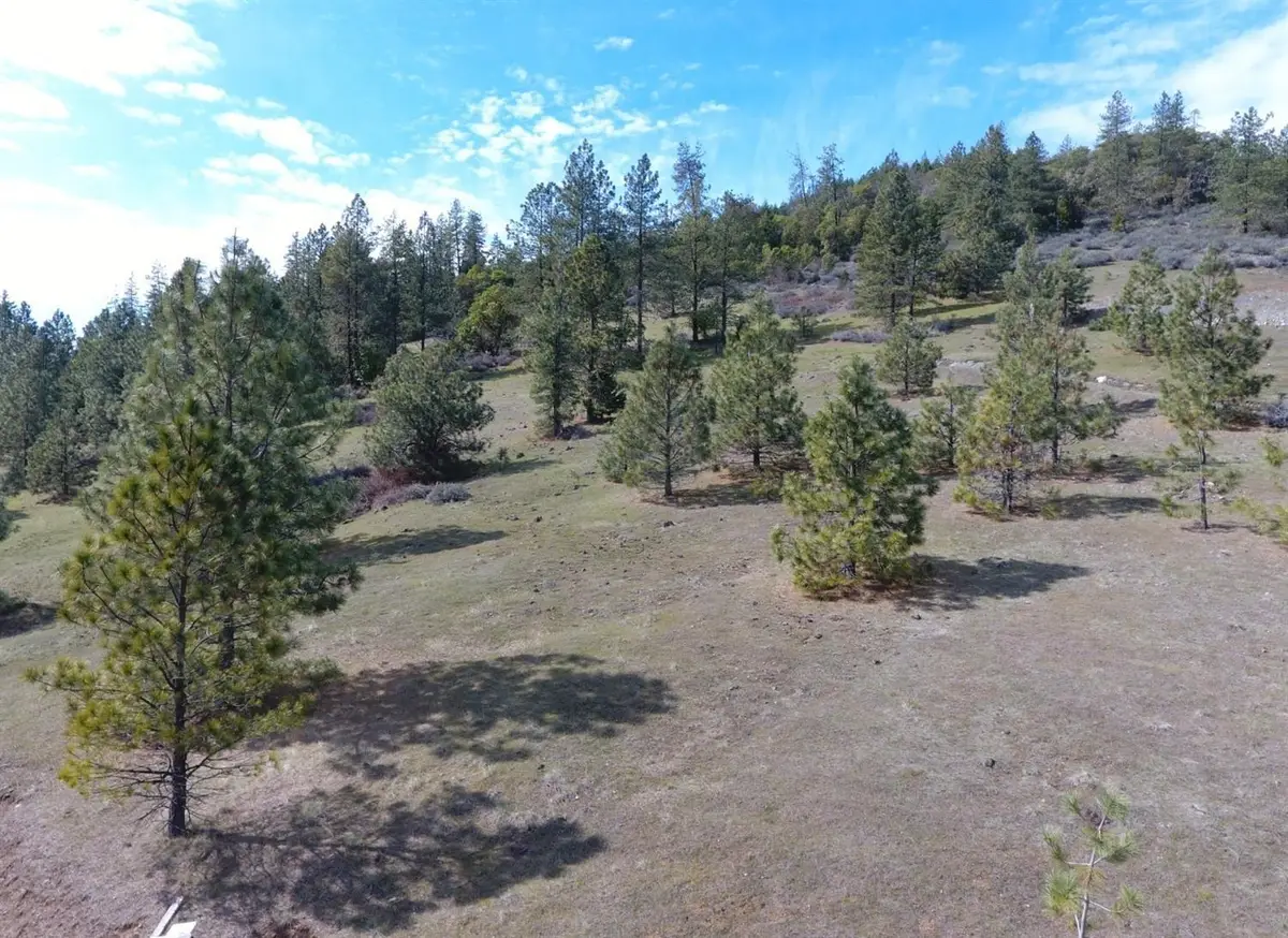 420 Tycer Crossing, Cave Junction, OR 97523 - #1