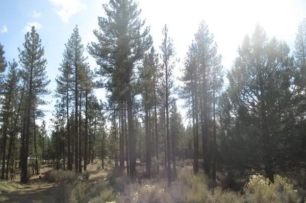 0 Pheasant Lane #16, Chiloquin, OR 97624