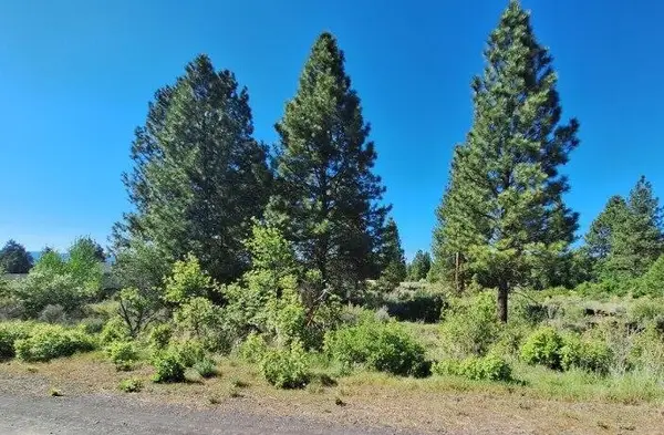 Shoreview Drive #Block 9 Lot 18, Chiloquin, OR 97624