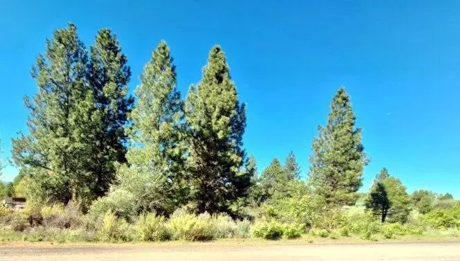 Shoreview Drive #Block 9 Lot 18, Chiloquin, OR 97624 - #2