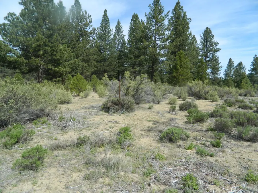 227 Highway 422, Chiloquin, OR 97624 - #2