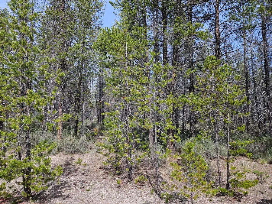 0 Scott View Drive #7, Chiloquin, OR 97624 - #2