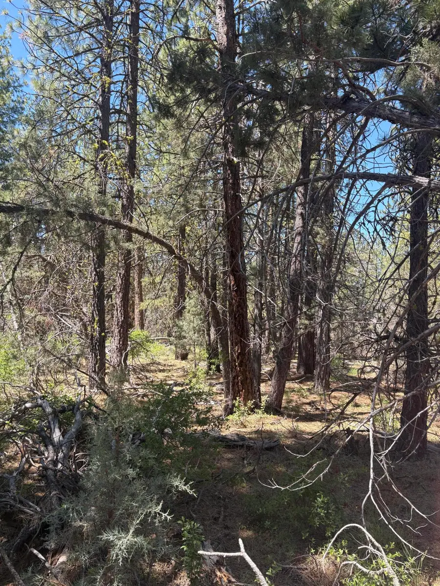 0 Chickadee Drive #Lot 10, Bonanza, OR 97623 - #2