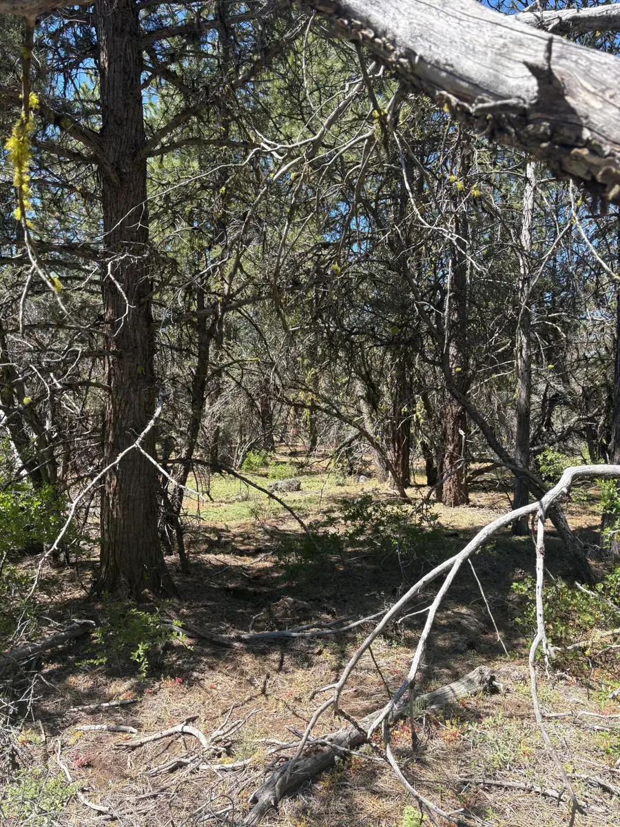 0 Chickadee Drive #Lot 10, Bonanza, OR 97623 - #3