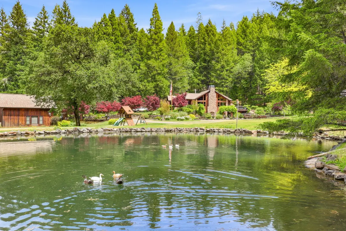 985 Elliott Creek Road, Wilderville, OR 97543 - #1