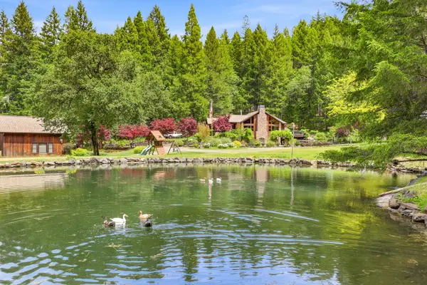 985 Elliott Creek Road, Wilderville, OR 97543