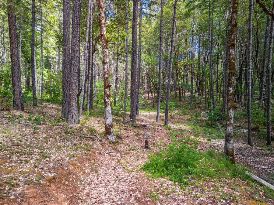 222 Wonder Lane, Wilderville, OR 97543 - #3