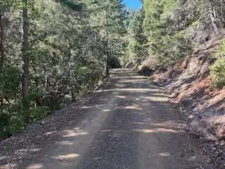 0 French Peak Road #405, Cave Junction, OR 97523 - #2
