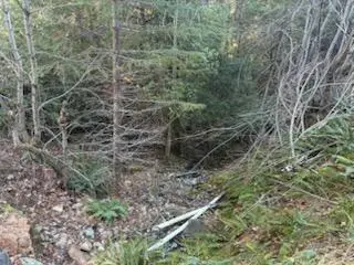 0 French Peak Road #405, Cave Junction, OR 97523 - #3