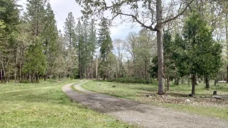 575 Kirkham Road, Cave Junction, OR 97523 - #3