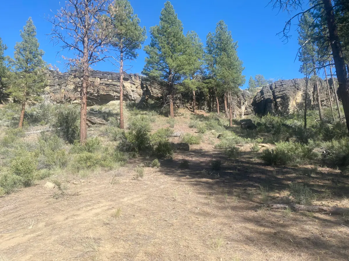 0 Klamath Forest Estates, Sprague River, OR 97639 - #1