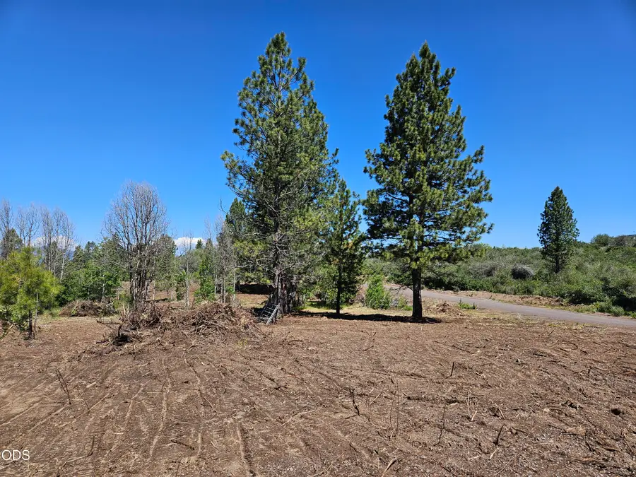 0 Forest View Drive #7800, Chiloquin, OR 97624 - #3