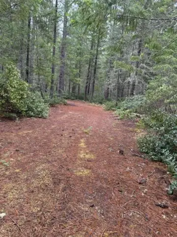 Lone Mountain Road #1300, Obrien, OR 97534 - #2