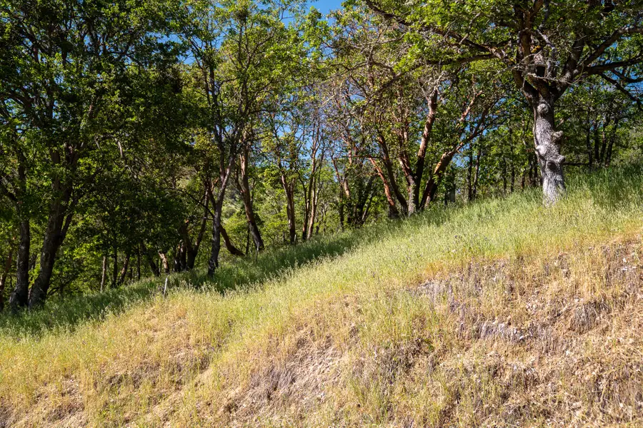 0 Highway 234, Central Point, OR 97502 - #3
