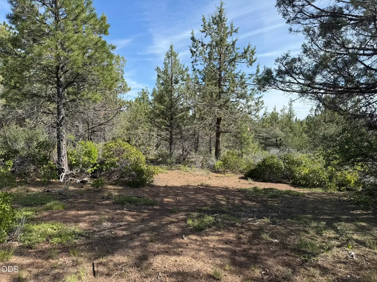 0 Porpoise Lane #Lot 29, Bonanza, OR 97623 - #1