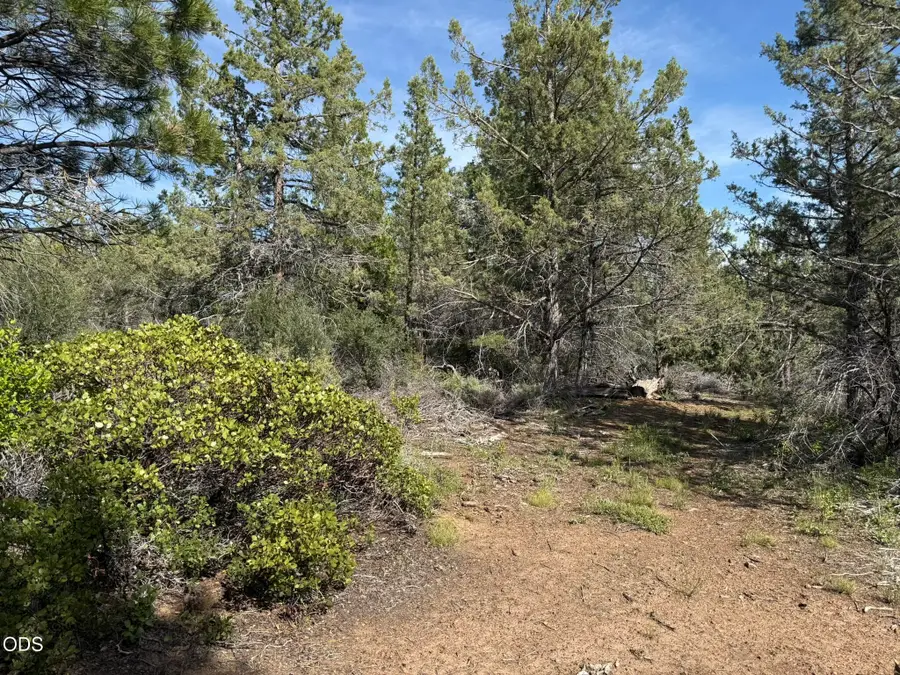 0 Porpoise Lane #Lot 29, Bonanza, OR 97623 - #3