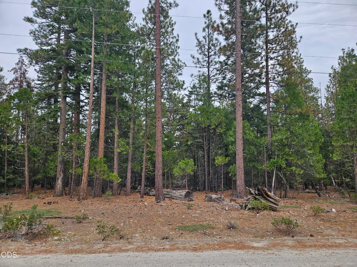 0 Blackbird Drive #Lots 33, 34, 35, Bonanza, OR 97623 - #1