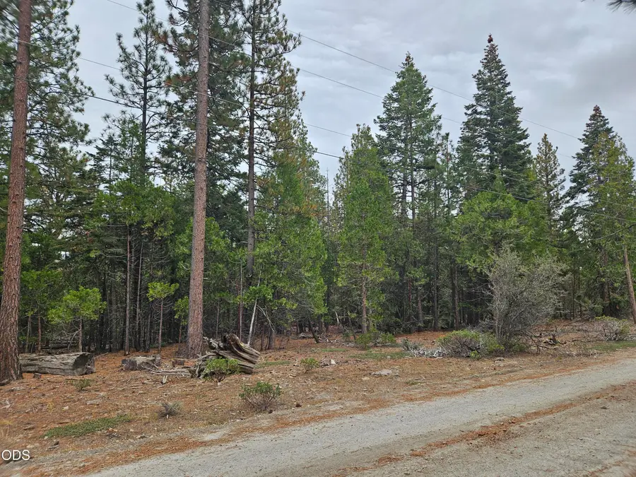 0 Blackbird Drive #Lots 33, 34, 35, Bonanza, OR 97623 - #2