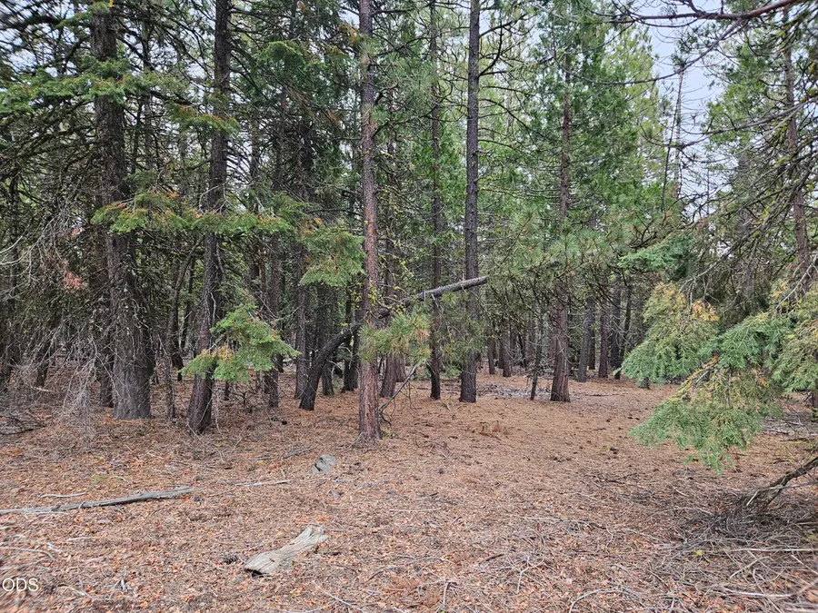 0 Blackbird Drive #Lots 33, 34, 35, Bonanza, OR 97623 - #3