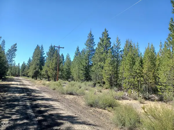 Gabriel Court #54, Crescent, OR 97733